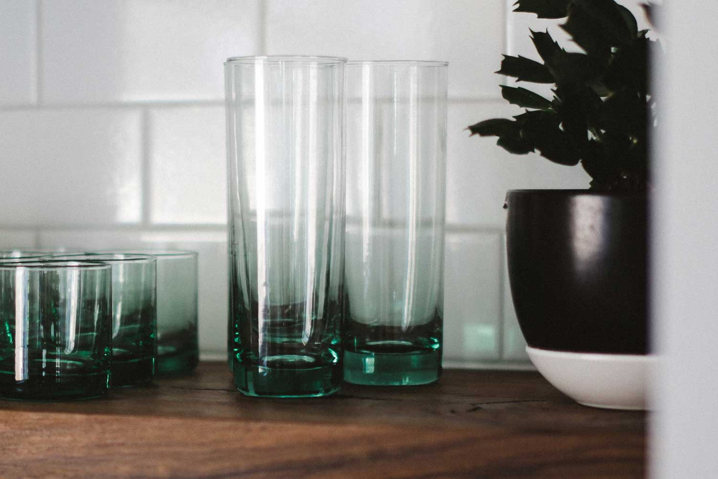 Valencia Collins Glasses